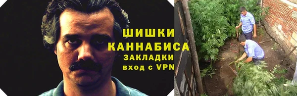 крисы Няндома