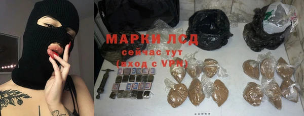 мескалин Болотное