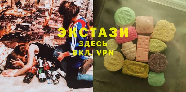 крисы Няндома