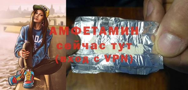 крисы Няндома
