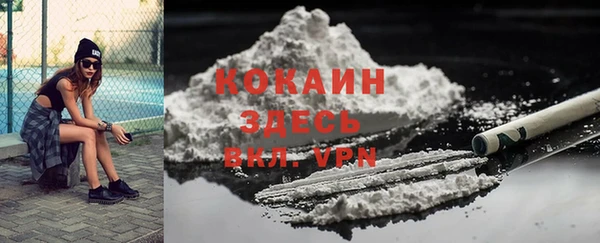 крисы Няндома