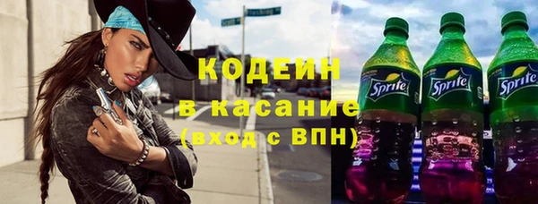 крисы Няндома